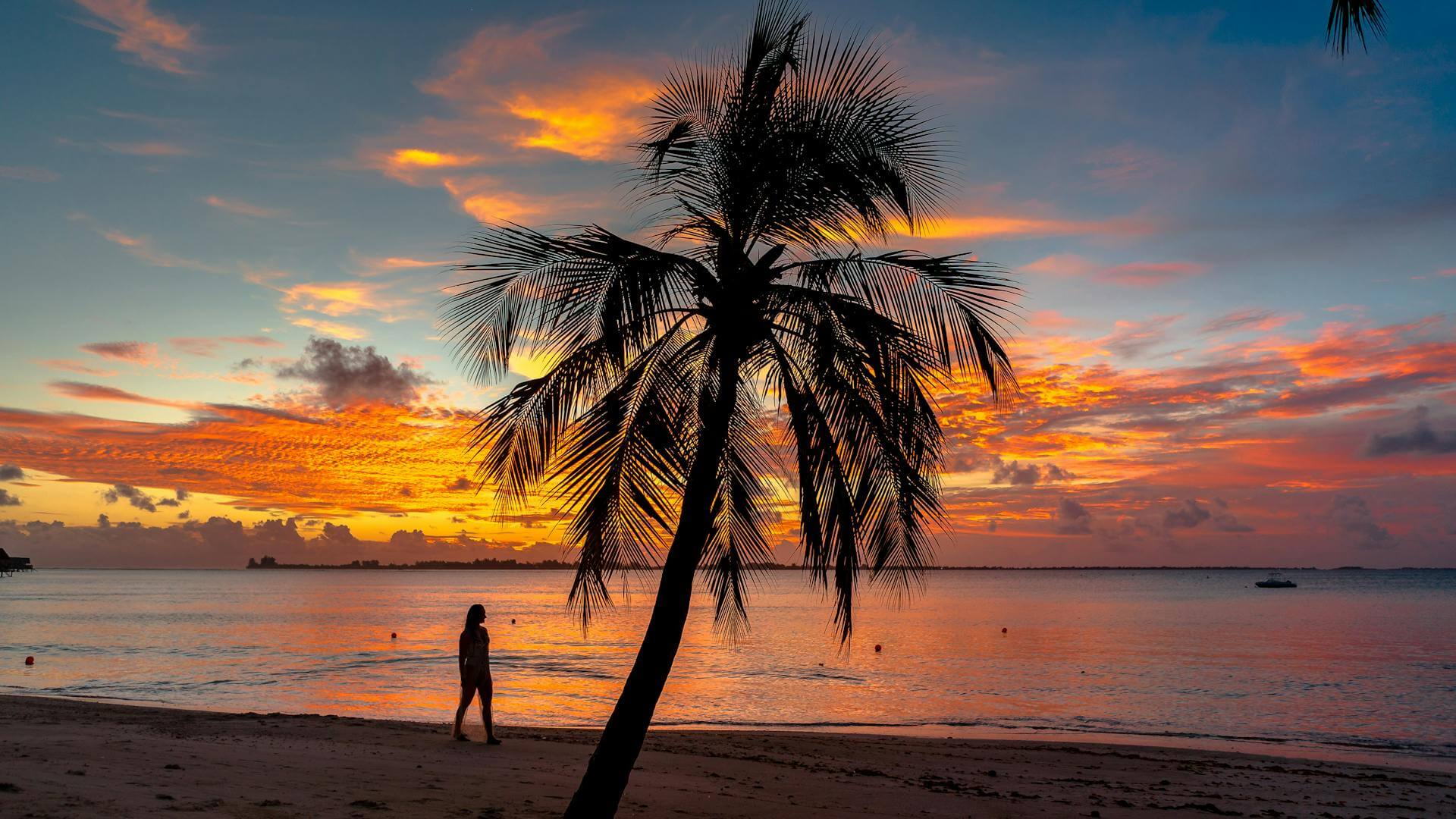 pexels-asad-photo-maldives-3601369