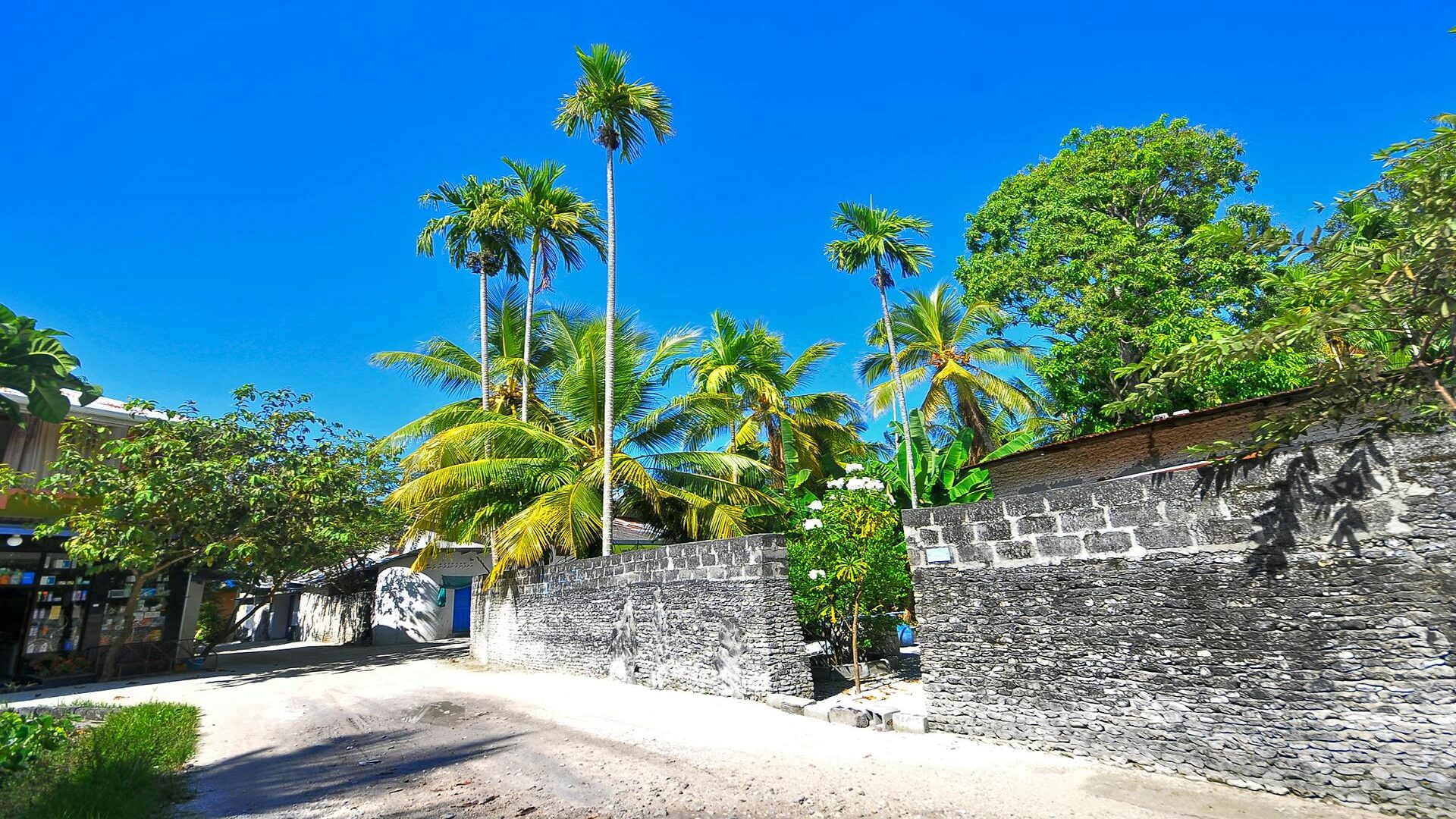 pexels-asad-photo-maldives-240512